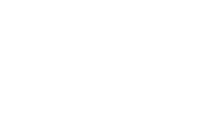 Skechers, colaboración global en formación de negocios internacionales y estudios corporativos